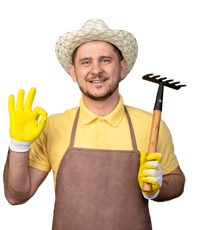 грядки из дпк размеры